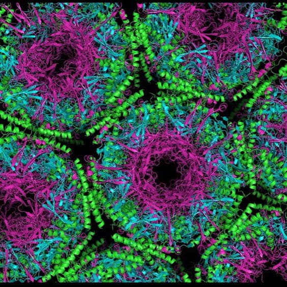 Generative Adversarial Neural Network